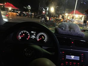 汽车地板油多少转 汽车地板油多少转